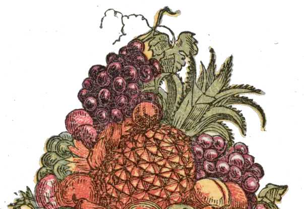  New Blog U2014 Rachel Ripps Schaming Seedless Fruit Png Fruits Png
