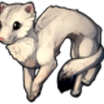  Ferret Animal Furvilla Wiki Fandom Png