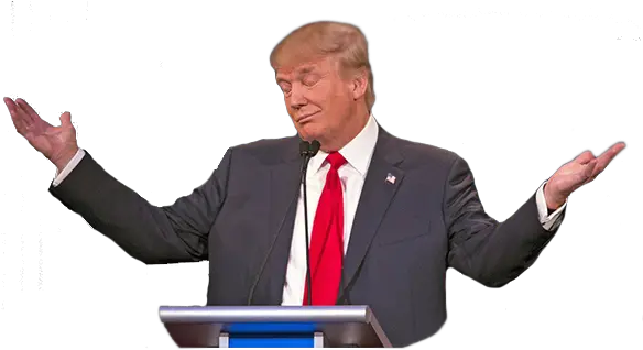  Png Shrug Transparent Donald Trump Png Trump Head Transparent Background