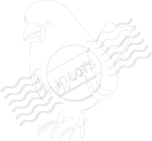  Iconexperience M Collection Bird Icon Quoth The Raven 404 Png Parrot Icon