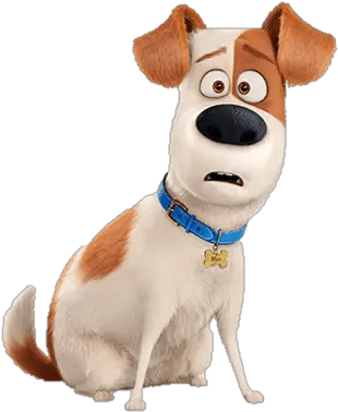  Secret Life Of Pets Max Transparent Png Max The Secret Life Of Pets Pet Png