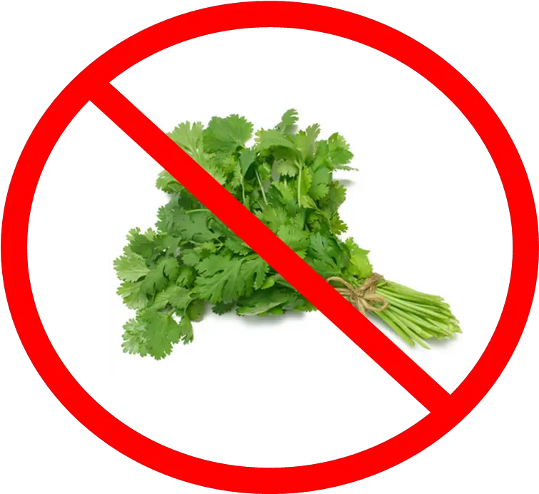  A Food Loveru0027s Guide To Biomedical Waste U2013 Talkinu0027 Trash Say No To Coriander Png Cilantro Png