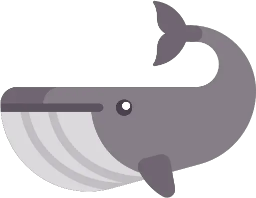  Whale Whale Icon Png Whale Png