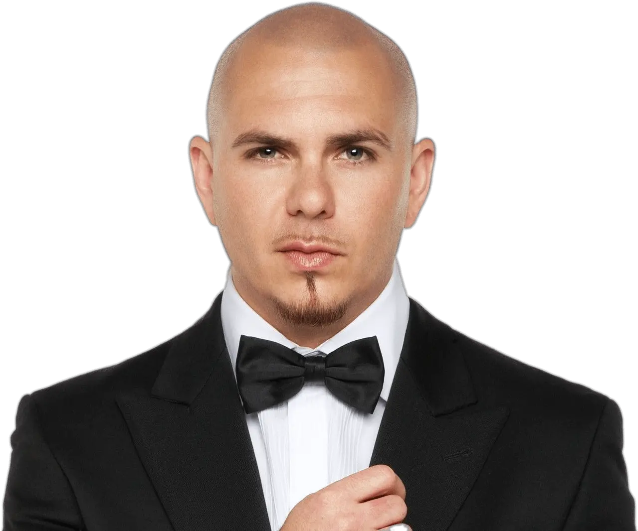  Pitbull With Bow Tie Transparent Png S 1092433 Png Pitbull Songs Rapper Png