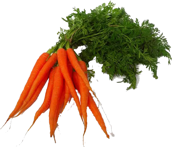  Carrot Png Transparent Images Transparent Vegetable Photo Png Carrot Transparent Background