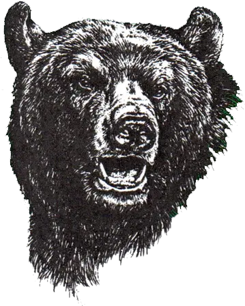  North Carolina Bears U2013 Deaf Sports Logos North Carolina School For The Deaf Bears Png Bear Logos