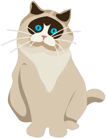  Exotic Shorthair Cat Illustration Transparent Png U0026 Svg Ragdoll Cat Vector Logo Short Hair Png