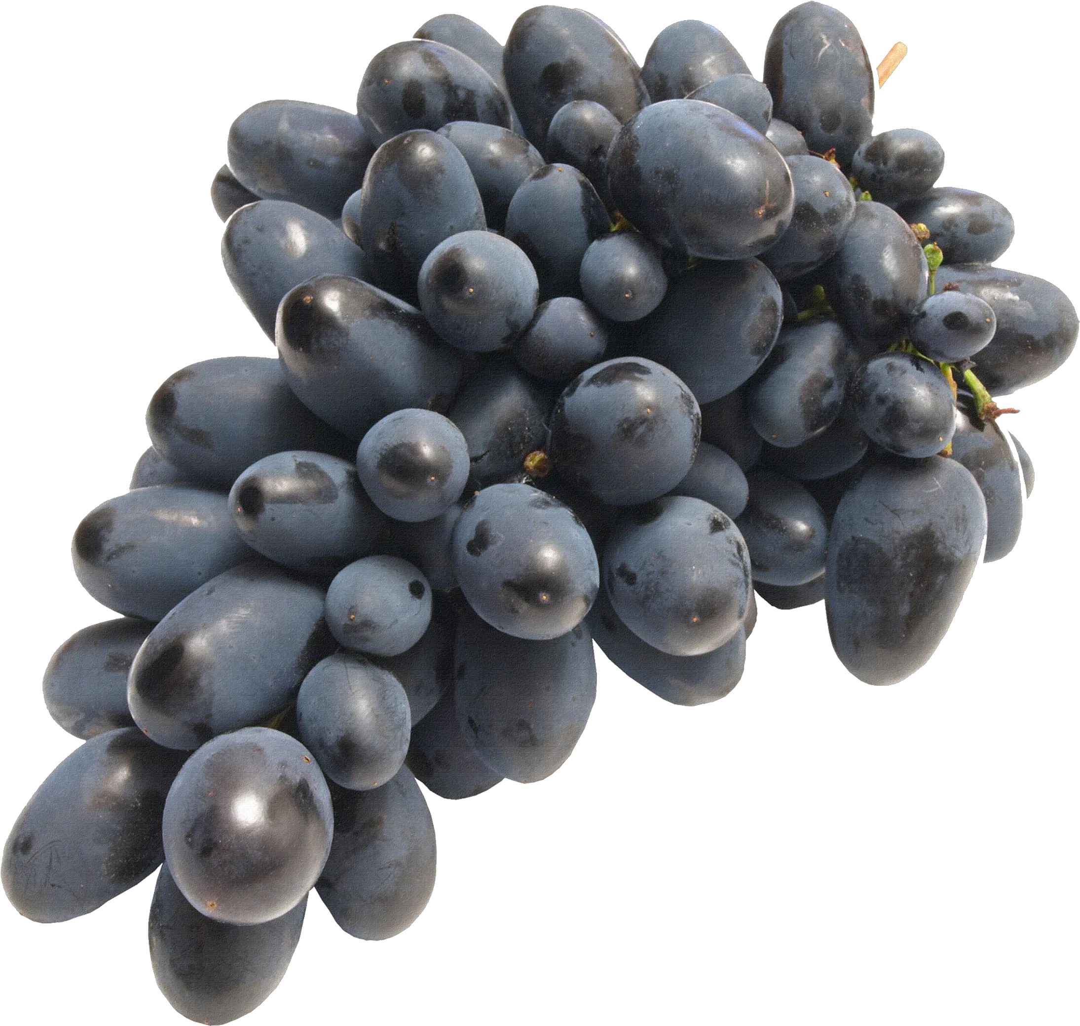  Download Black Grapes Png Image For Free Grape