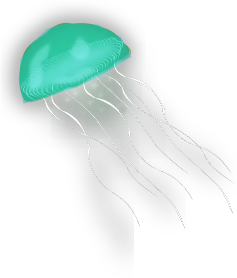  Download Jellyfish Png Picture For Designing Projects Free Jelly Fish Gif Png Transparent Jellyfish