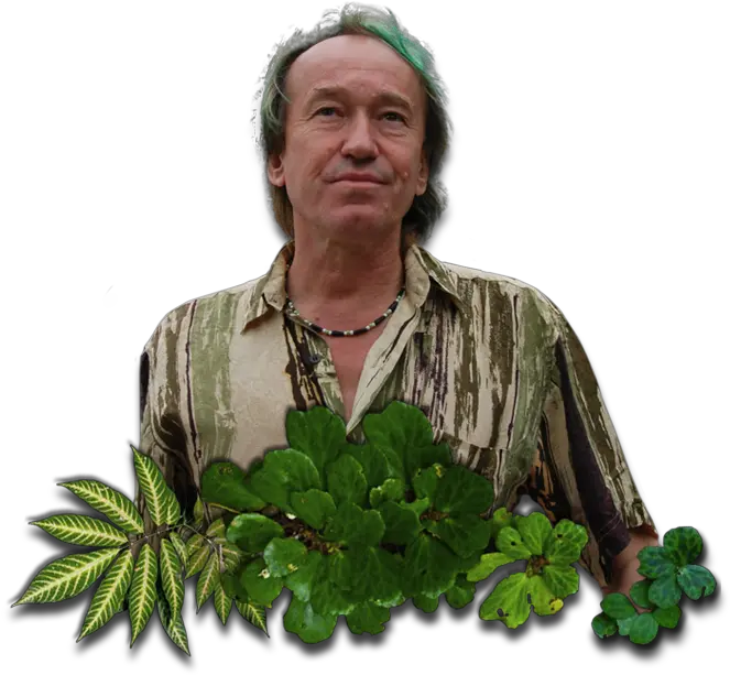  Welcome To Vertical Garden Patrick Blanc Patrick Blanck Png Garden Png