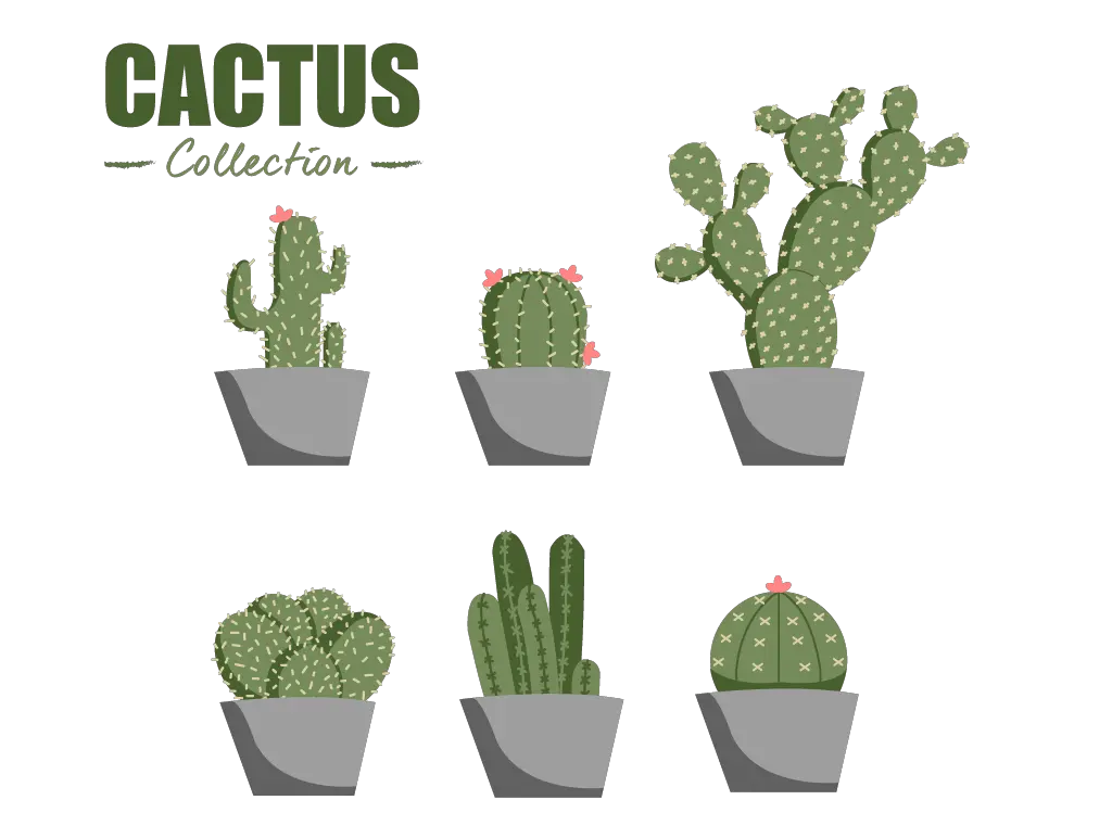  Flat Cactus Collection Vector Element Download Free Deltarune Png Cactus Clipart Png