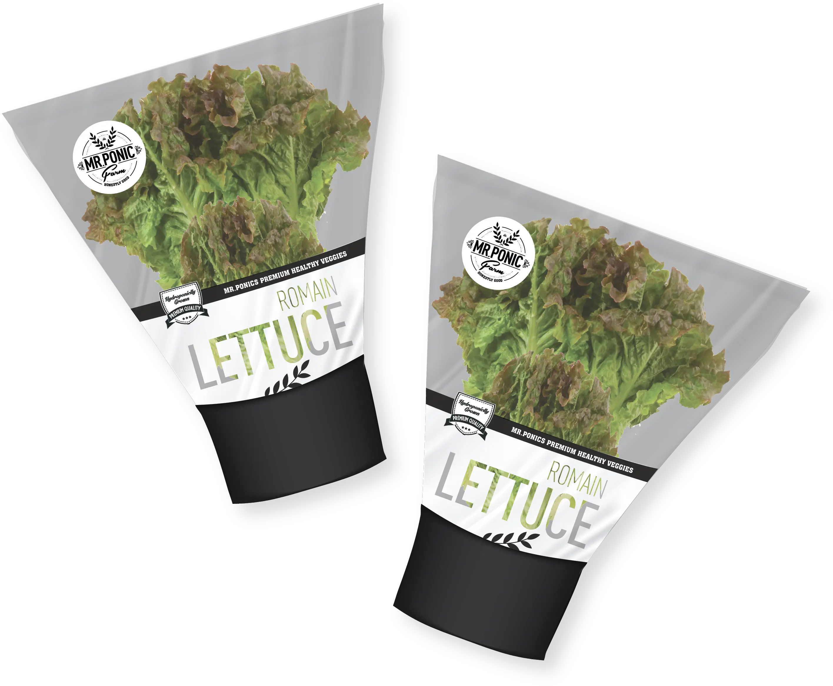  Download View Larger Image Lettuce Png Image With No Romaine Lettuce Lettuce Png