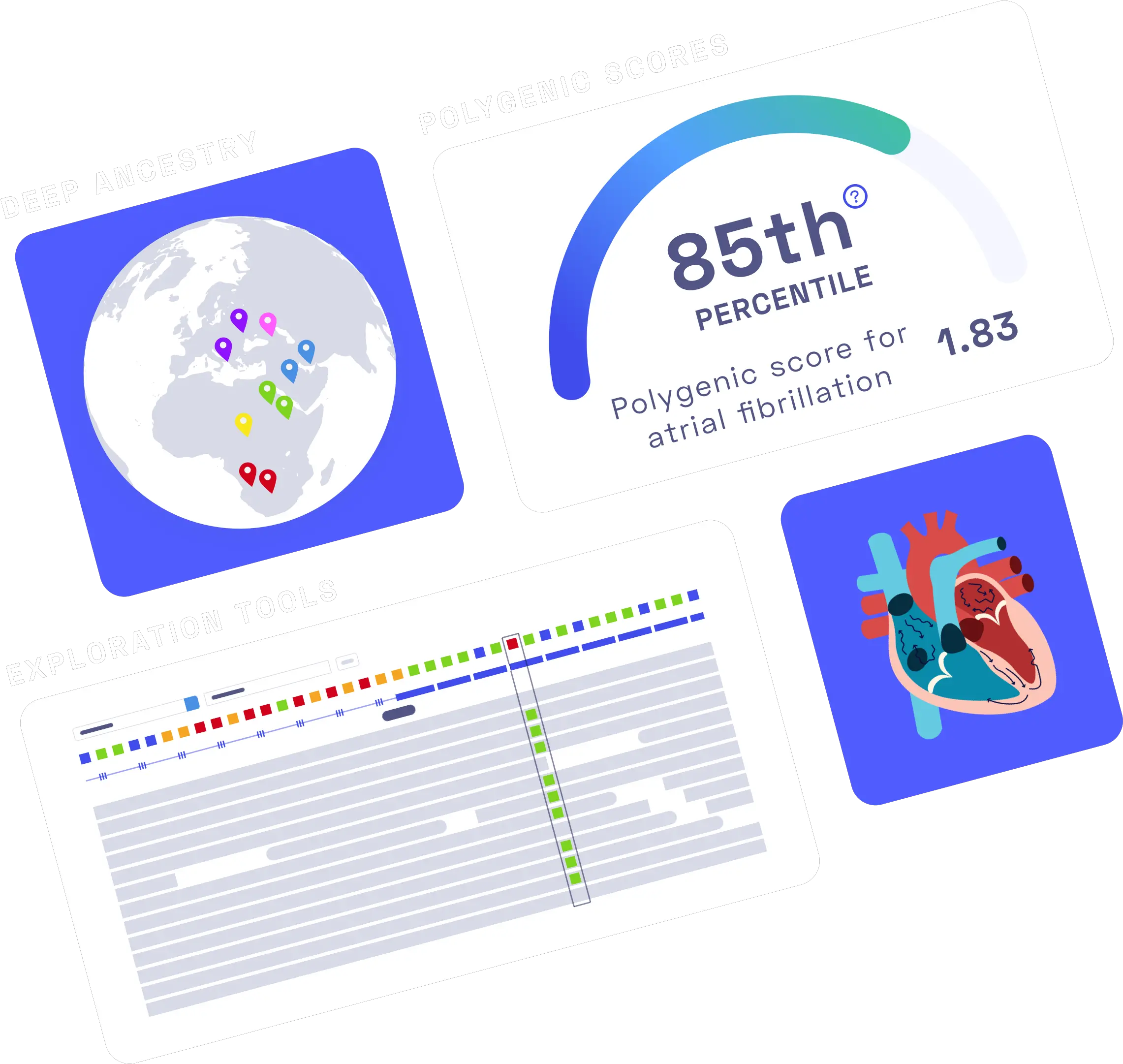  Nebula Genomics 30x Wholegenome Sequencing Dna Testing Nebula Genomics Dna Results Png Dna Logo