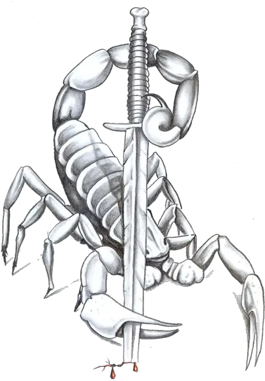  Scorpion Tattoos Free Download Png All Scorpion Tattoos Scorpion Png