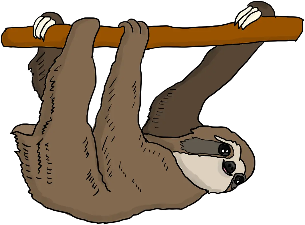  Sloth Tree Hanging Doesnt Matter How Slowly You Go As Long Png Sloth Png