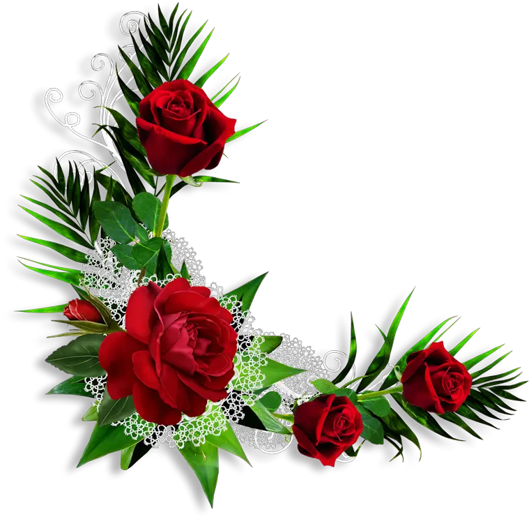  Clip Art Boton De Rosa Roja Png Transparent Png Full Rosa Png Rosas Png