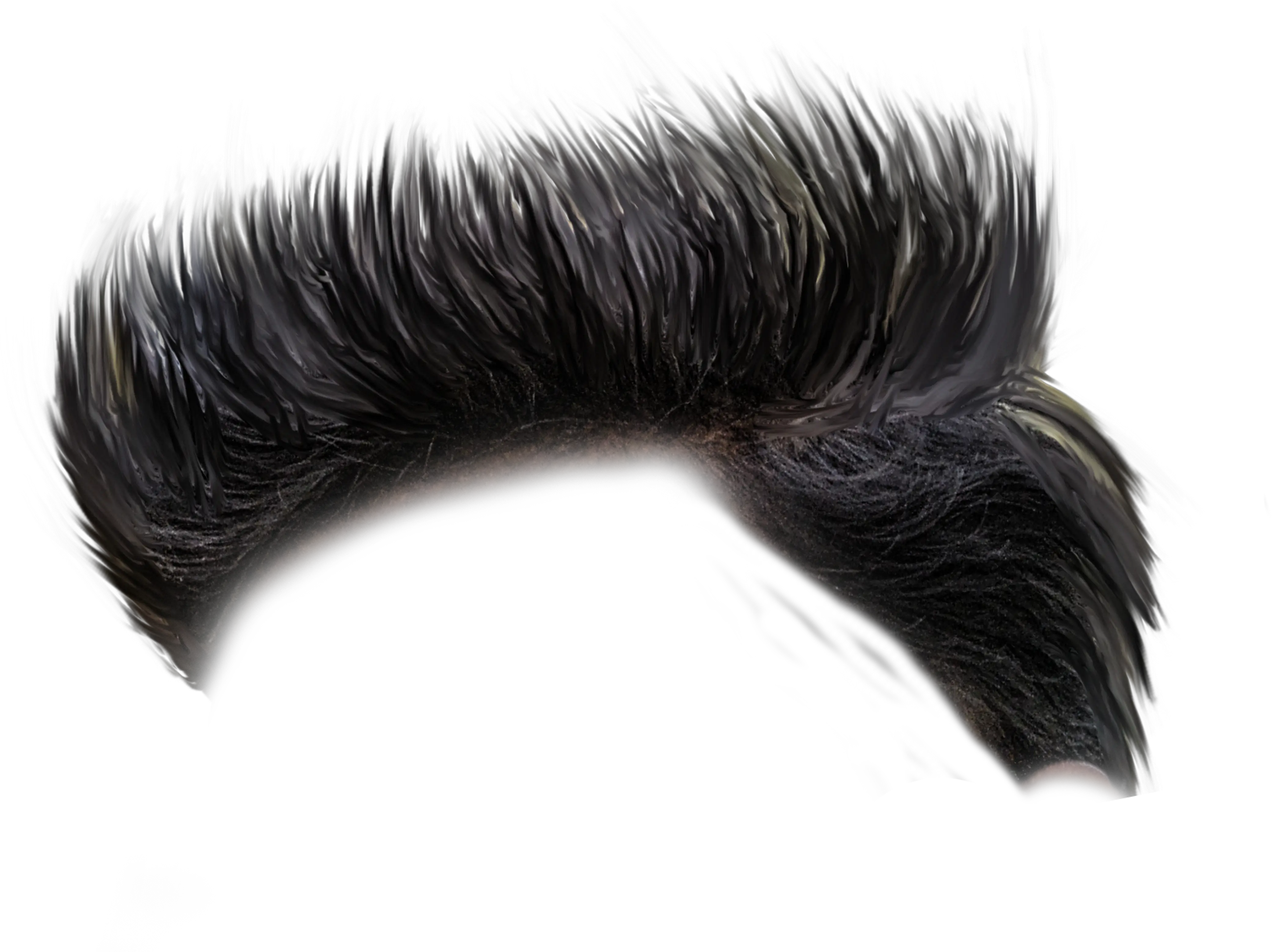  Cb Hair Png Hd Download Men