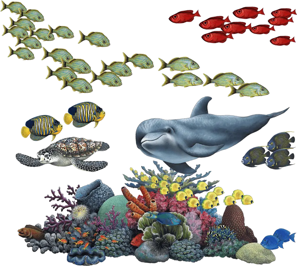  Coral Reef Tropical Fish Mural Coral Reef Transparent Background Png Coral Png