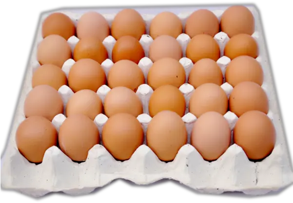  Eggs Carton Png Many Eggs In A Crate Eggs Png