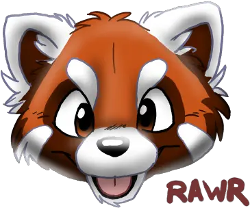  Red Panda Cartoon Red Panda Face Png Red Panda Png