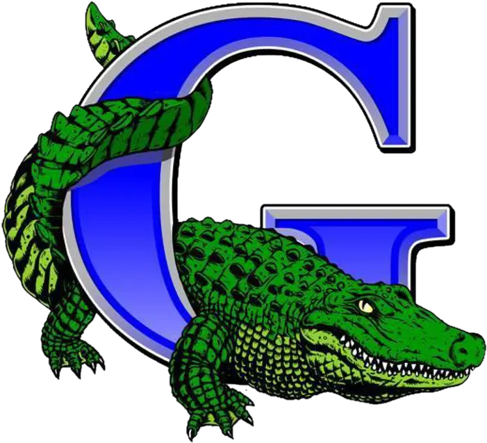  Volleyball Clipart Gator La Grulla Gators Football Png Gator Png