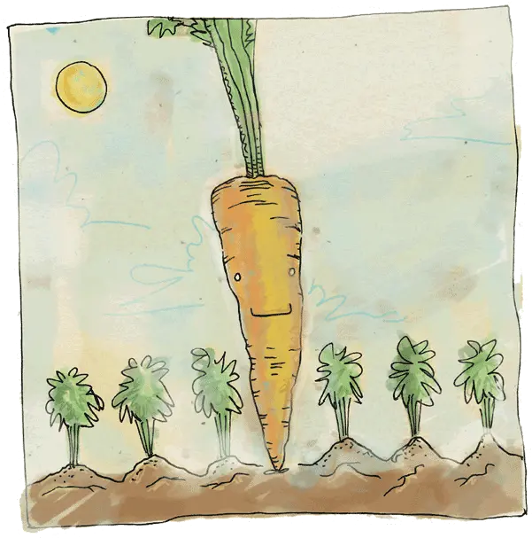  La Condesa Baby Carrot Png Carrot Png