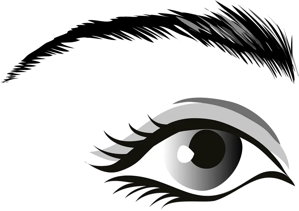  Eye Gray Eyes Eyelid Man Eye Clip Art Png Eyebrows Png