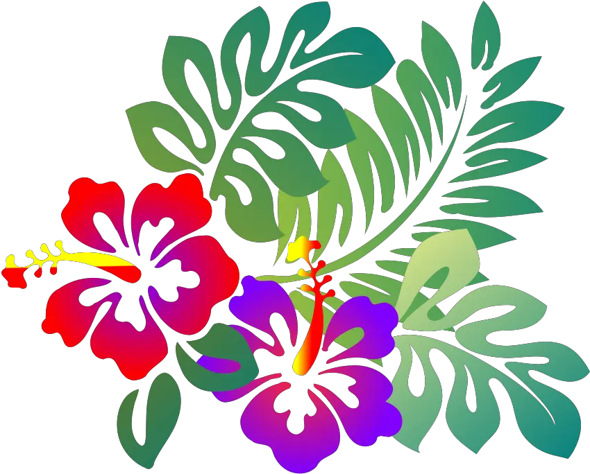  Hibiscus Png Svg Clip Art For Web Download Clip Art Png Hibiscus Clip Art Hibiscus Png