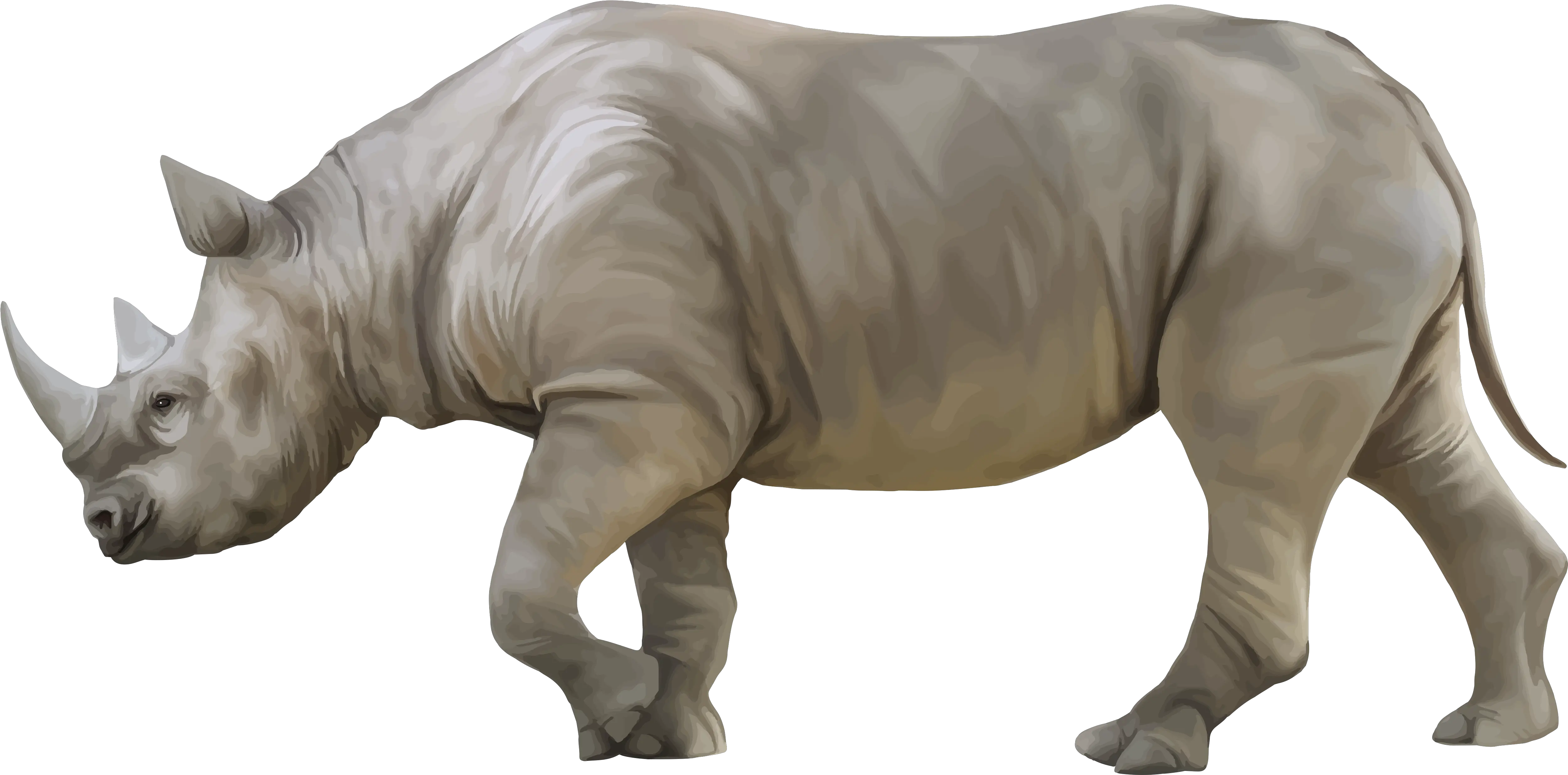  Download Hd Rhino Png Clipart Rhino Png Rhino Png