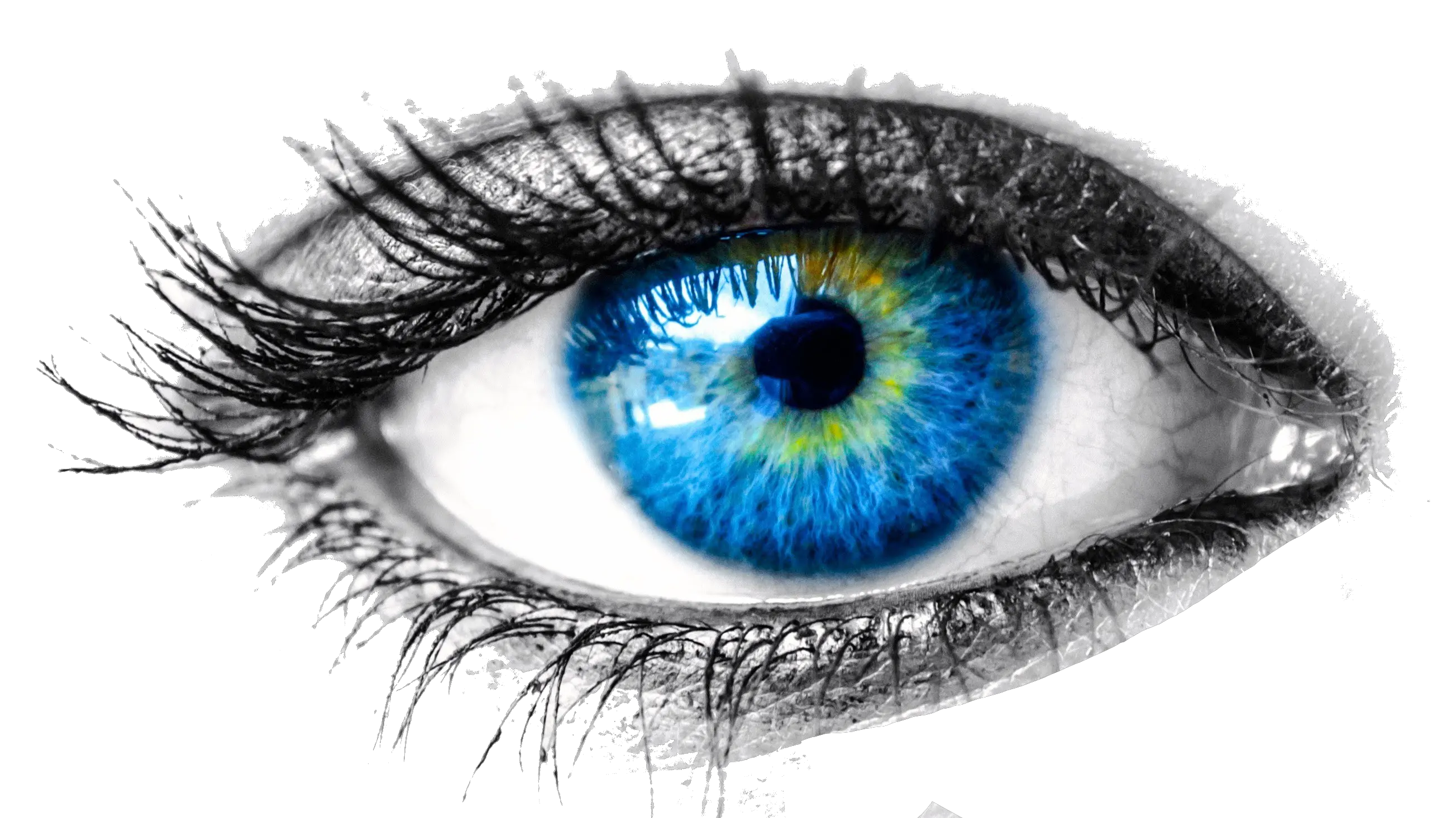  Transparent Png Image Transparent Background Human Eye Png Eyes Transparent