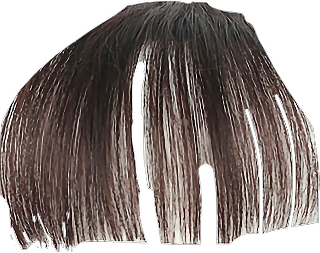  Transparent Fringe Bangs Png Bangs Picsart Bangs Png