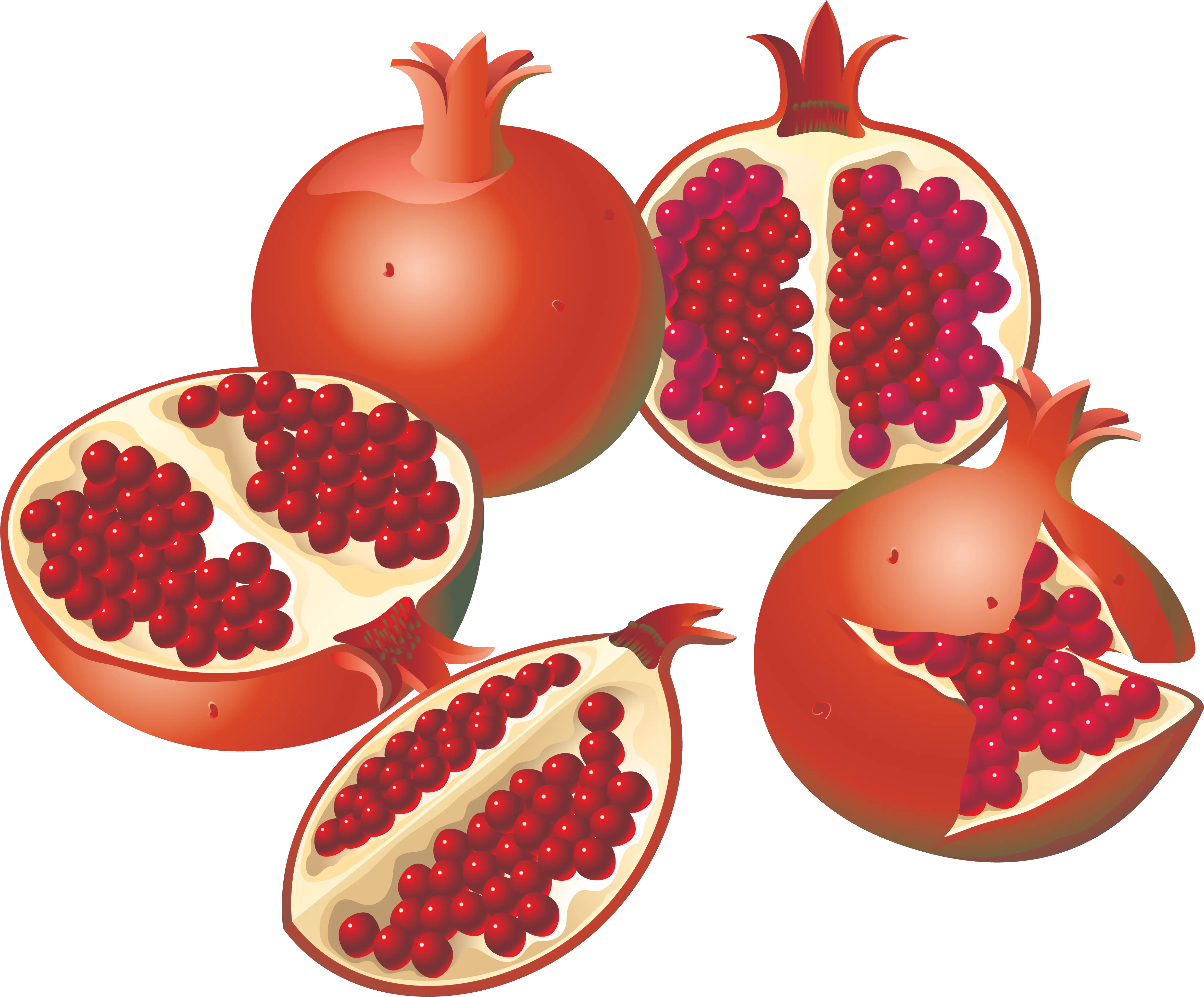  Grenade Png Fond Image Fruit Vector Grenade Png