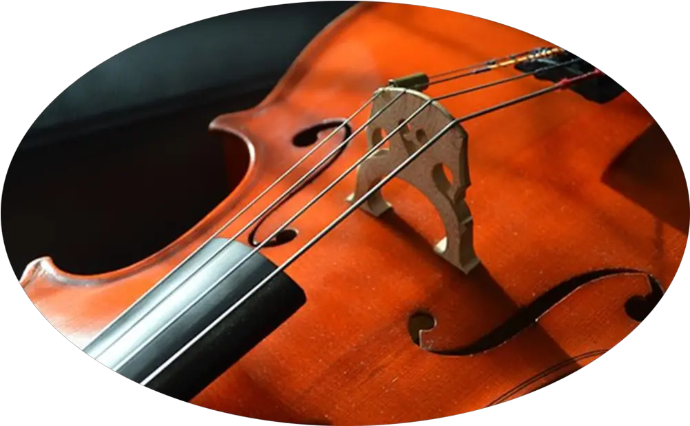  Inspire Music Academy Cello Png Violin Png