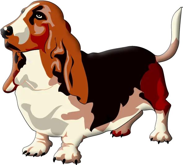  Dog Beagle Puppy Paw Clipart Basset Hound Png Transparent Puppy