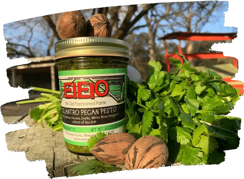  Cilantro Pecan Pesto Eieio Organic Farm Paste Png Cilantro Icon