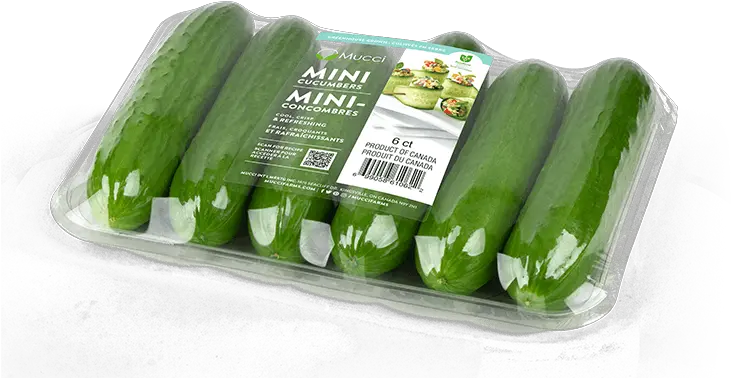  Mucci Farms Mini English Cucumber Png Cucumber Transparent