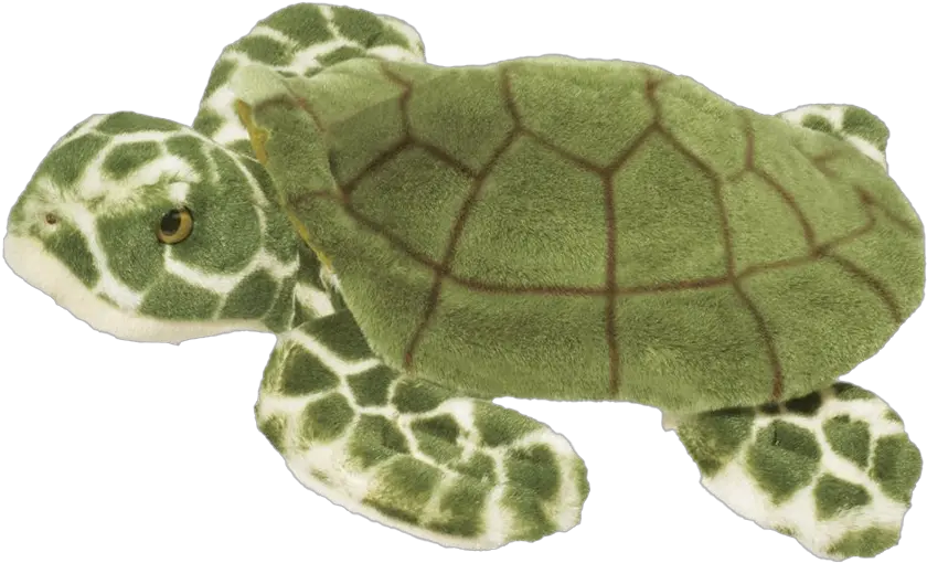  Turtle Transparent File Sea Turtle Toy Png Turtle Transparent