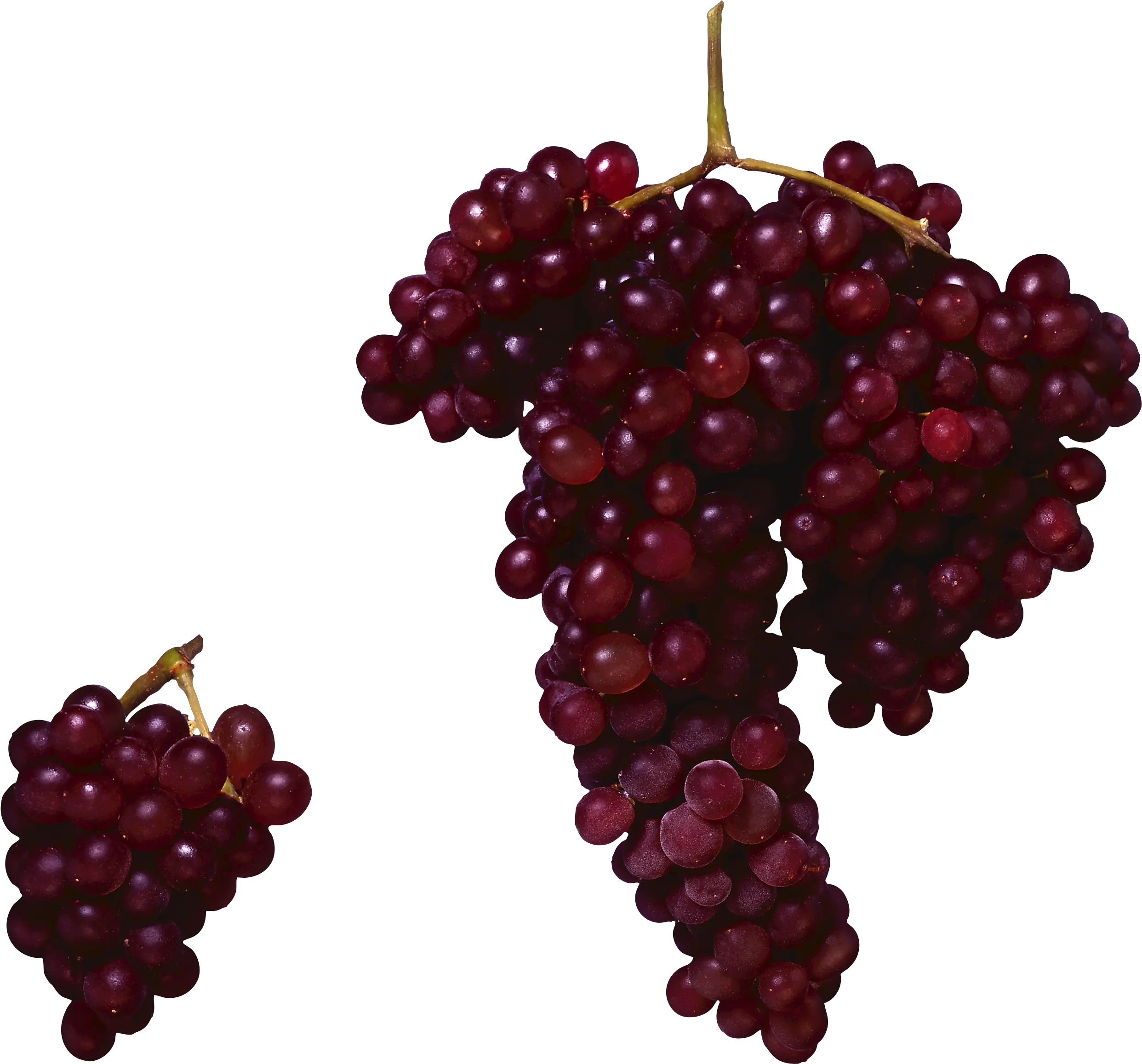  Red Grapes Png Image For Free Download Red Grape Png Grape Png