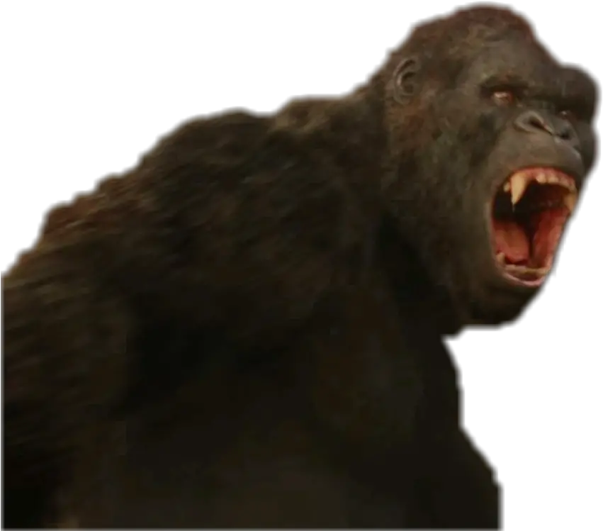  122 Kong Skull Island Png Kong Png