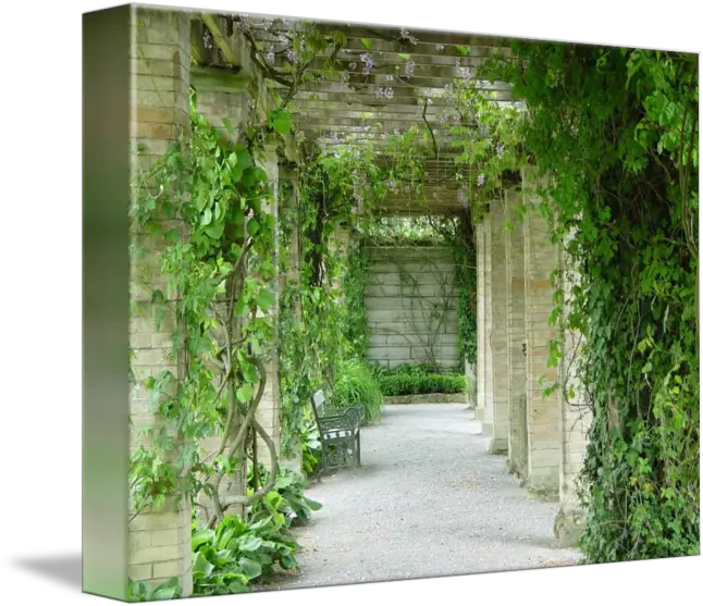  Mainau Flowers And Vines By Vicki Liston Vertical Png Wall Vines Png