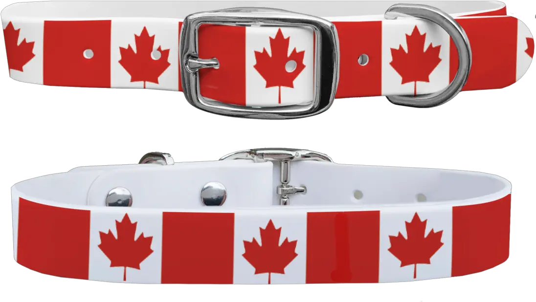  Canada Maple Leaf Dog Collar Belt Png Canada Maple Leaf Png