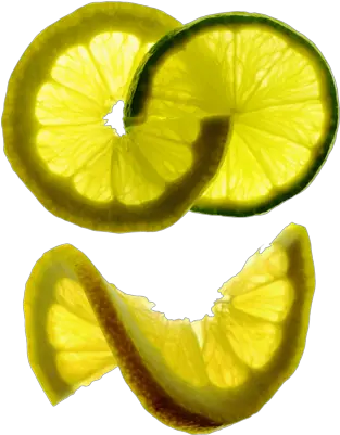  Free Lemon U0026 Lime Twist Psd Vector Graphic Vectorhqcom Citrus Fruits Png Limon Png