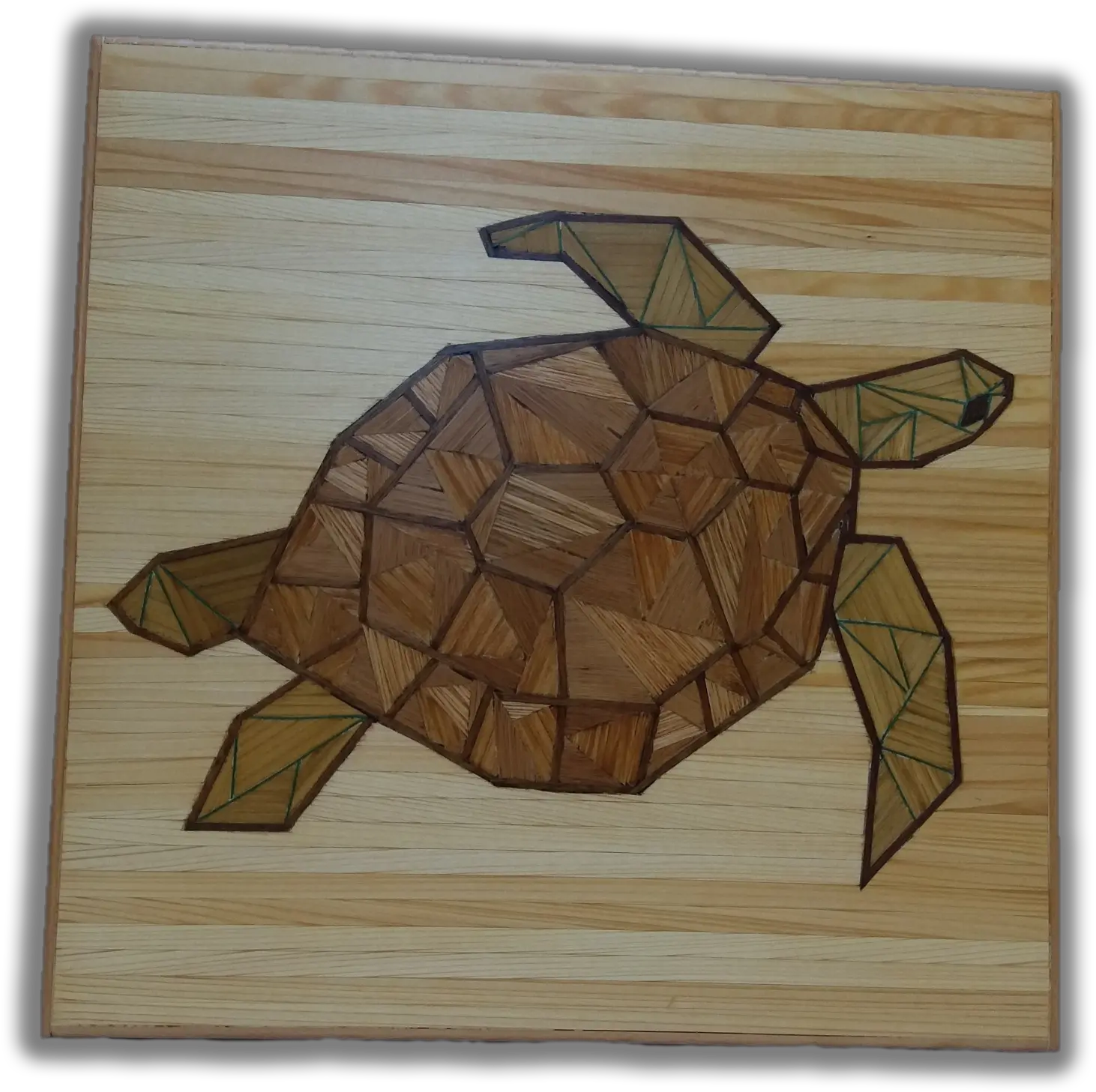  Desert Tortoise Transparent Png Desert Tortoise Tortoise Png