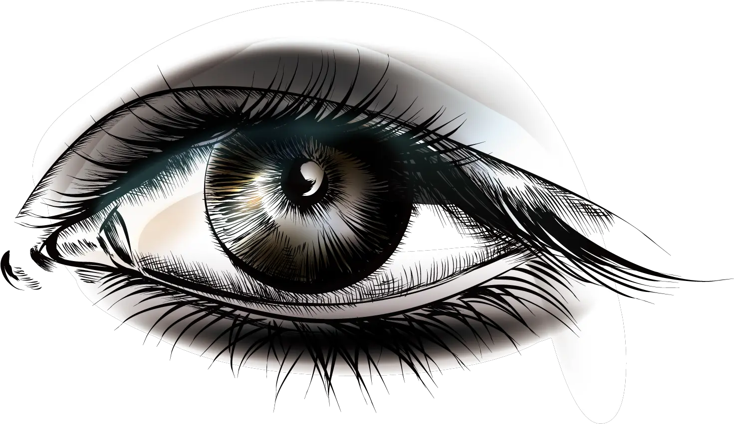  Png Images Pngs Eye Eyeball 11png Snipstock Eyes Icon