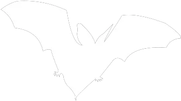  Canadian Wildlife Federation Help The Bats Fictional Character Png Bats Icon