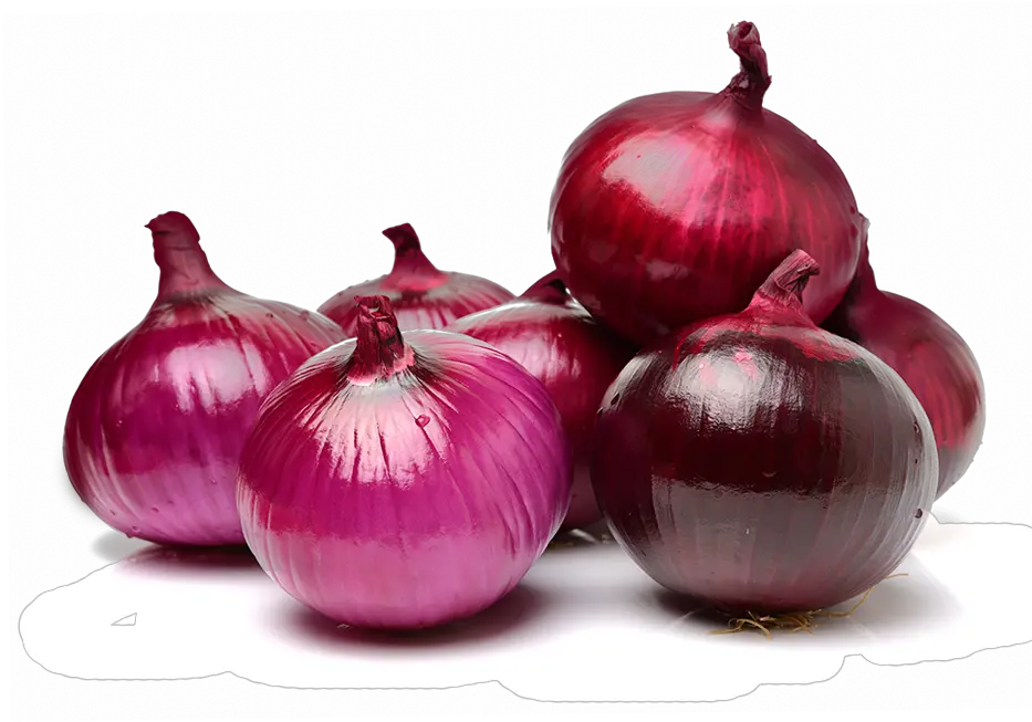  Red Onion Png Image With No Background Red Onion Png Onion Png