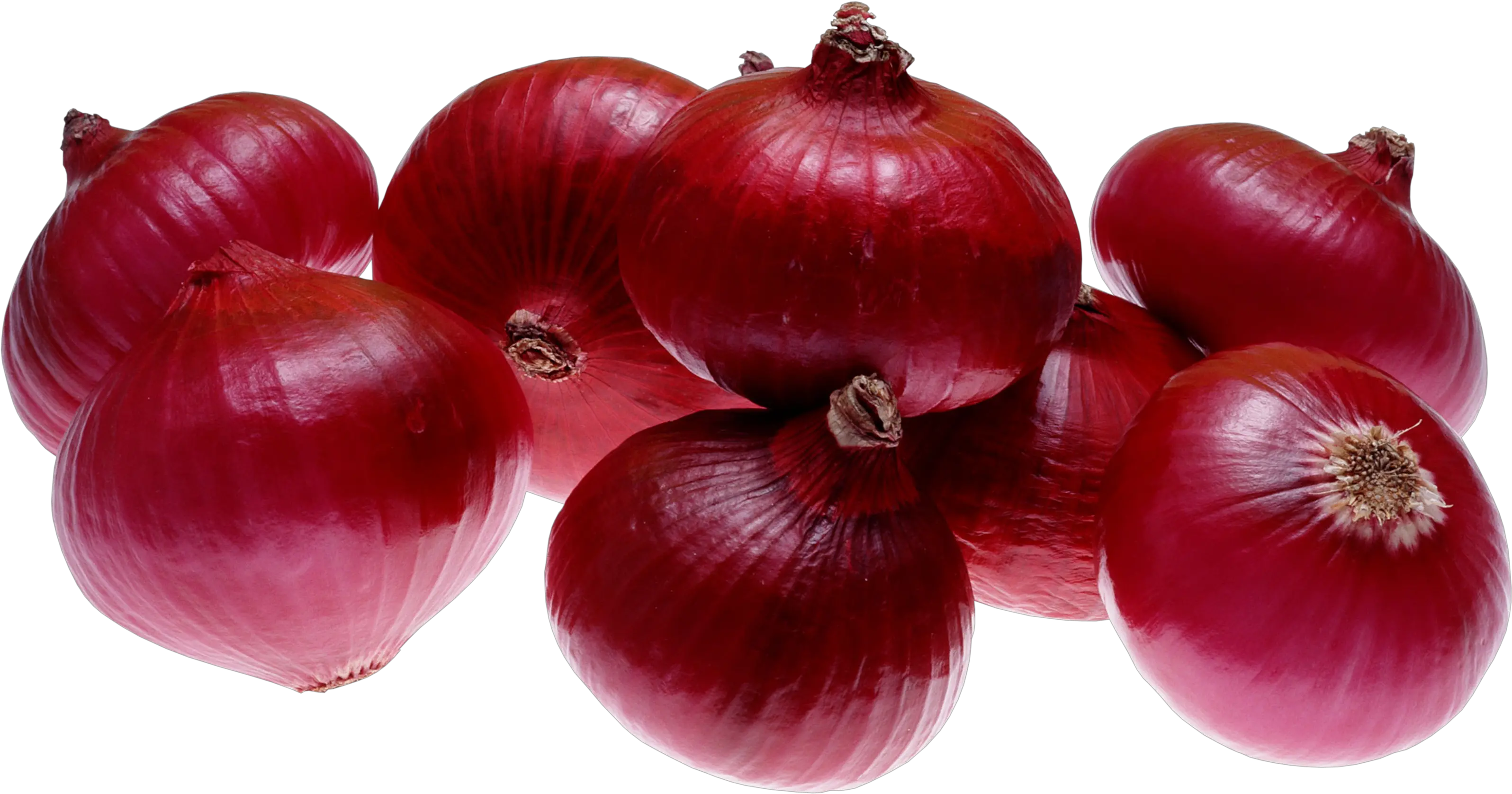  26 Onion Png Images Are Free To Download Onion Png Onion Png