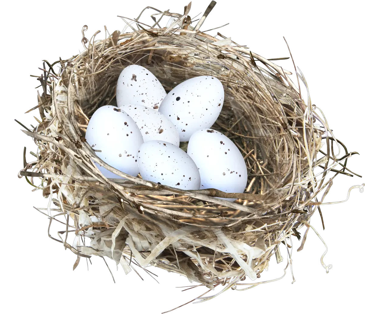  Nest Png Eggs On The Nest Nest Png