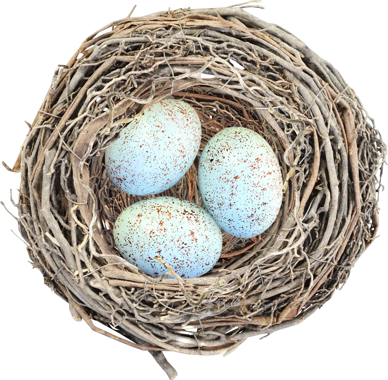  Download Nest Png Image With No Nest Png Nest Png