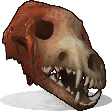  Rust Wolf Skull Item Information Corrosion Hour Rust Wolf Skull Png Dragon Skull Icon